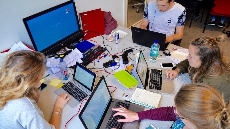 Eine Gruppe junger Menschen sitzt vor Laptops und arbeitet gemeinsam. 