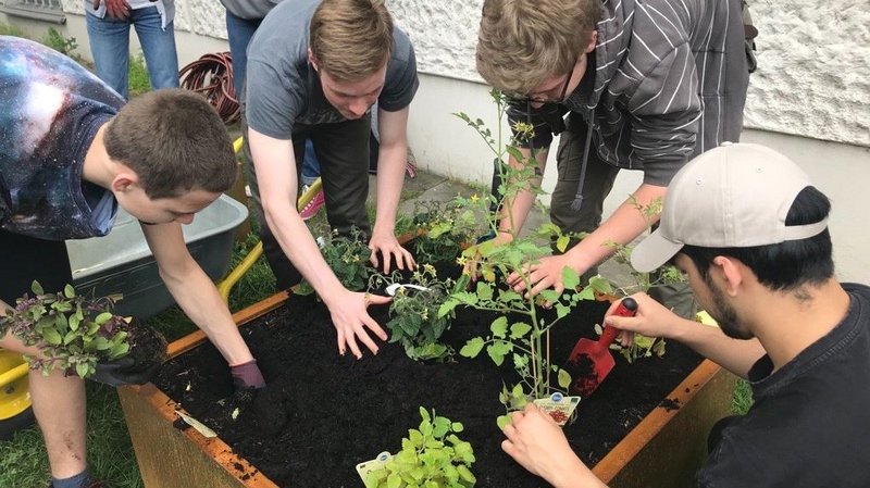 Schüler bepflanzen ein Beet