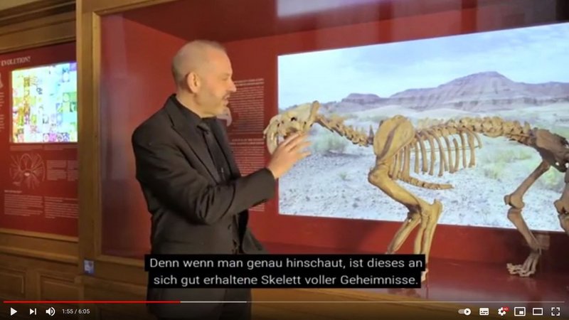 Wissenschaftler beschreibt Skelett eines Tieres 