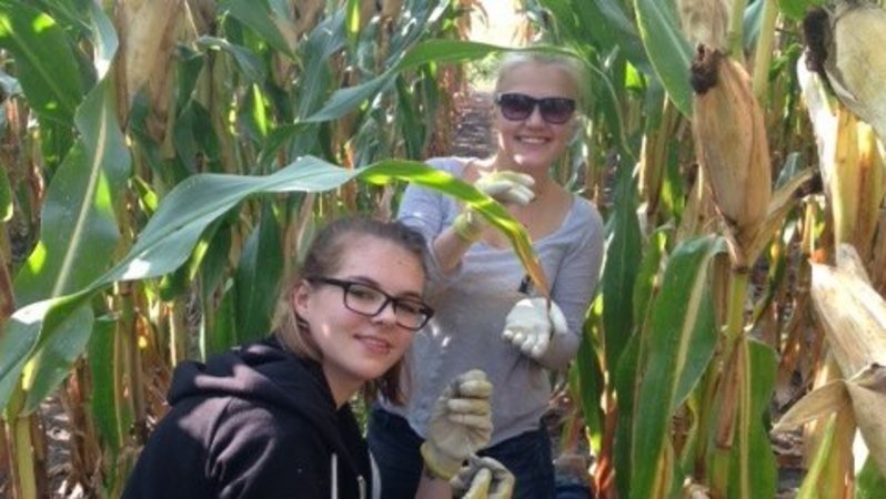 Zwei Forscherinnen in einem Maisfeld