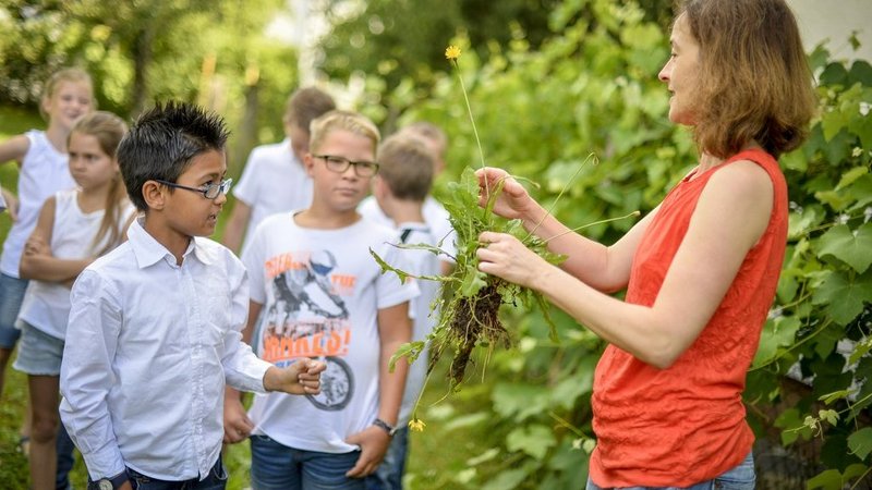 Eine Forscherin erklärt Kindern etwas anhand einer Pflanze