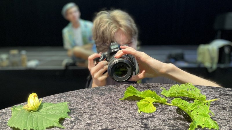 ein Schüler des BORG Strasswalchen beim Fotografieren von Blättern